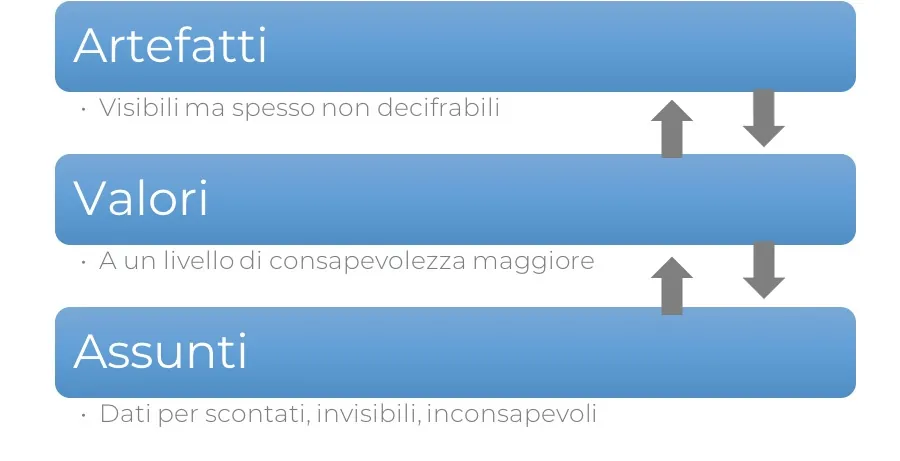 cultura organizzativa secondo schein